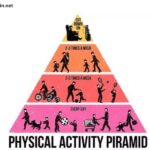 Where on the Physical Activity Pyramid Do Lifestyle Activities Belong?