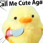 Cute Flirty Memes for Him