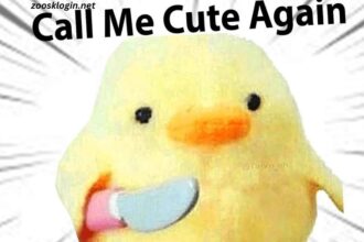 Cute Flirty Memes for Him