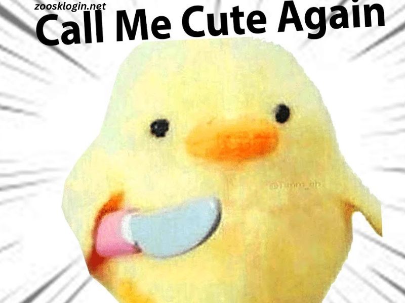 Cute Flirty Memes for Him